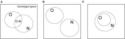 Information Theory Can Help Quantify the Potential of New Phenotypes to Originate as Exaptations